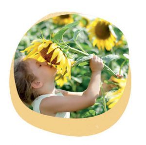 jaf-girasole